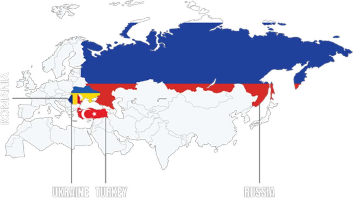 Sunflower Oil | Trade-Ventures